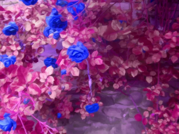 Τριανταφυλλιά στο stonewall ψηφιακής σχεδίασης — Φωτογραφία Αρχείου