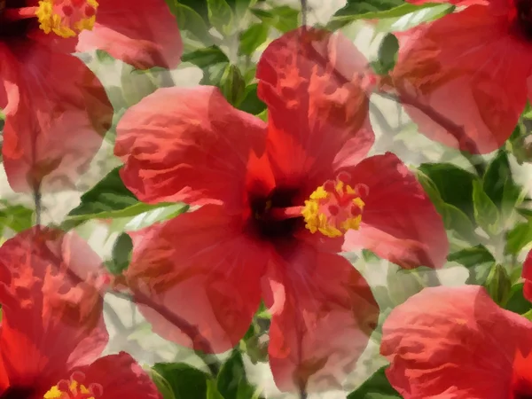 Fioritura modello rosso cinese Hibiscus senza soluzione di continuità — Foto Stock