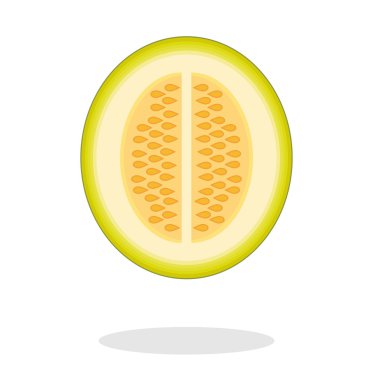 Alt gölge ile yarım kavun Illustration. İzole