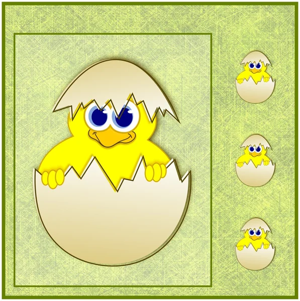 Cute easter chick in eggshell — Stock Photo, Image