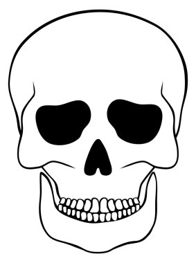 Soyut kafatası üzerinde beyaz izole