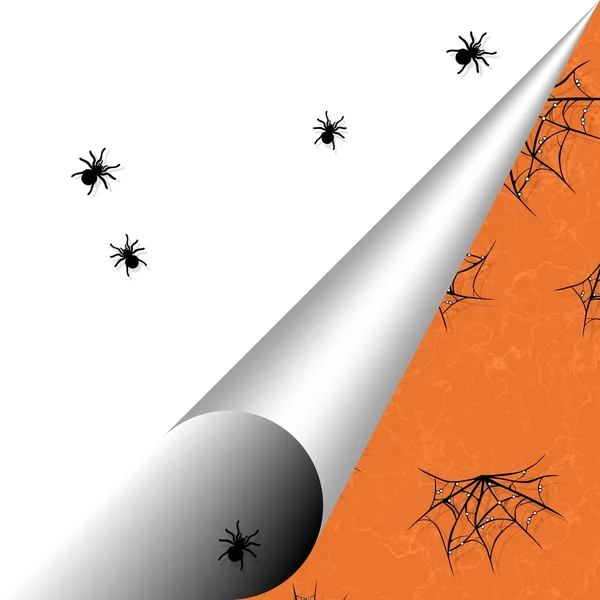 Halloween achtergrond met gebogen pagina hoek, spinnewebben en spiders — Stockfoto