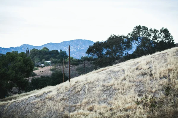 foothills with trees of California