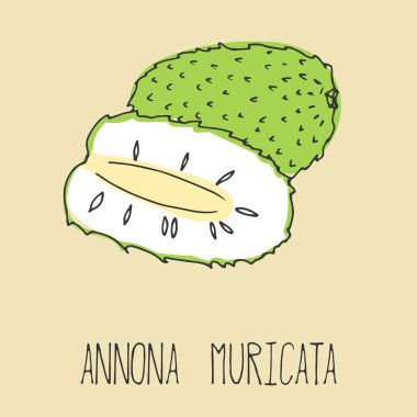 Soursop el çizim çizimi.