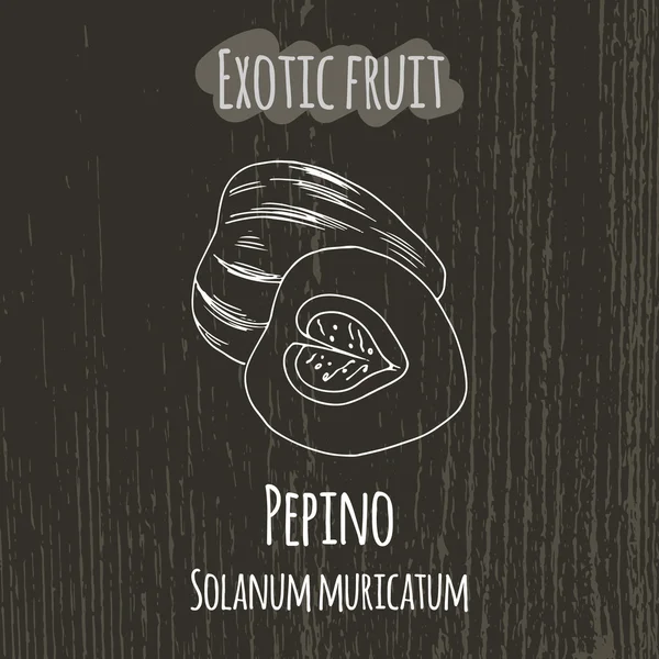 Dibujo a mano ilustración de pepino. Solanum muricatum — Vector de stock