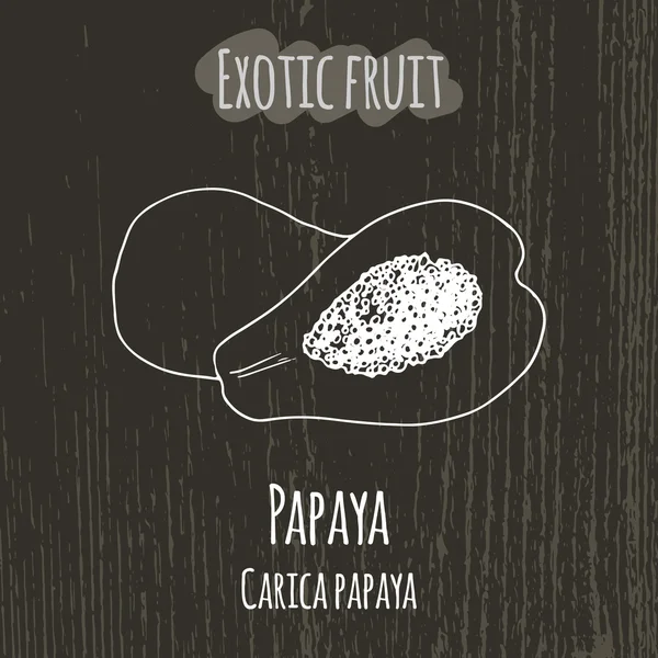 Desenho à mão ilustração de mamão. Carica papaya —  Vetores de Stock