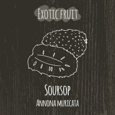 El soursop çizim Illustration. Annona muricata