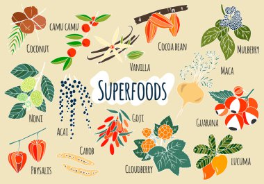 Vektör el çekilmiş superfoods.