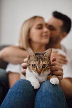 Genç bir çiftin dizlerinin üzerinde oturan küçük kedi, bir kadını öpen adam. İnsanlar ve hayvanlar