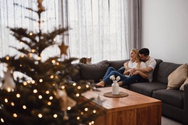 Genç çift Noel tatillerini evde geçiriyor. Dostum, Moman ve kedileri oturma odasında kanepede dinleniyorlar.