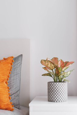 Bedside table decorated with Aglaonema potted plant. Bedroom decor with vivid and bright color. Orange and grey color inspiration