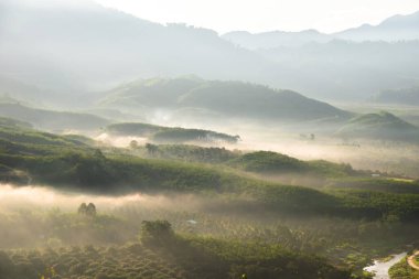 Gündoğumu Highland yeşil manzarası 
