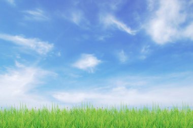Güzel mavi gökyüzü ve yeşil çimen arka plan 