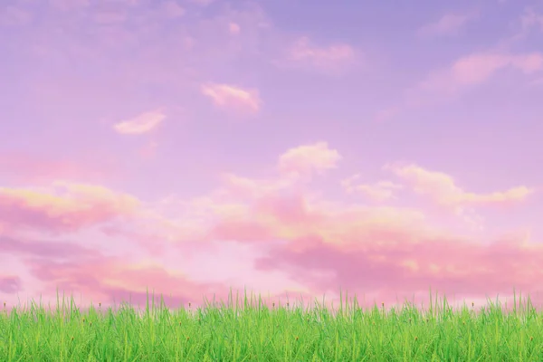 Green Grass Sunset Sky — Stock Photo, Image