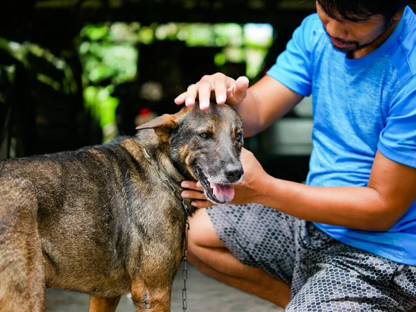 Ένας Ασιάτης Χαρά Παίζει Σκύλο Του — Φωτογραφία Αρχείου