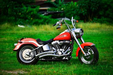 Güzel bir renk Harley Davidson motosikleti Çok güzel park edilmiş