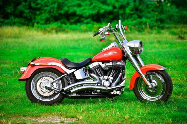 Güzel bir renk Harley Davidson motosikleti Çok güzel park edilmiş