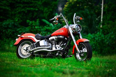 Güzel bir renk Harley Davidson motosikleti 7 Eylül 2019, Tayland