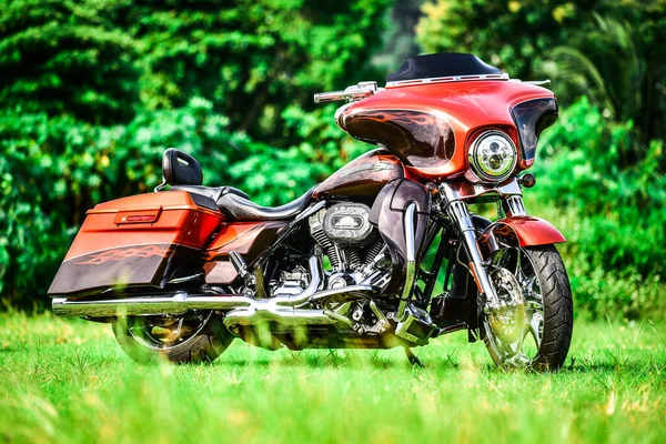 Красивый Цвет Мотоцикл Harley Davidson Красиво Припаркован — стоковое фото