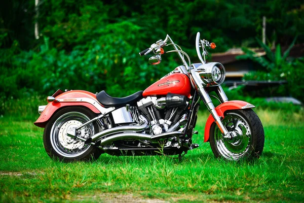 Color Hermoso Motocicleta Harley Davidson Estacionado Maravillosamente —  Fotos de Stock