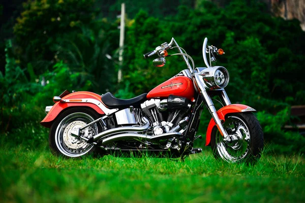 Beautiful Color Harley Davidson Motorcycle Parked Beautifully September 2019 Thailand — Stock Photo, Image