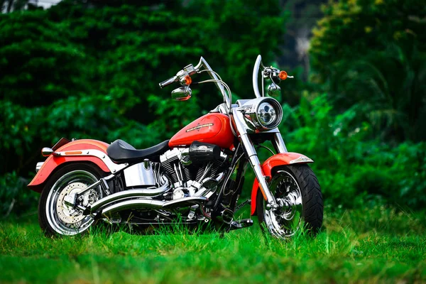Beautiful Color Harley Davidson Motorcycle Parked Beautifully September 2019 Thailand — Stock Photo, Image