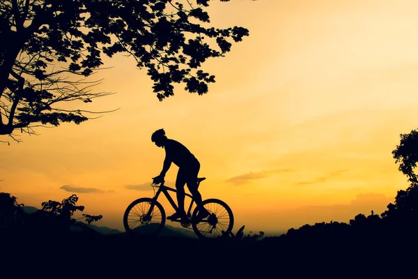 Una Silhouette Una Mountain Bike Che Pratica Biciclette Alta Montagna — Foto Stock