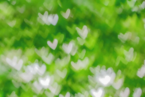 Abstract background image of green heart-shaped bokeh in nature. caused by lens blur. Use it as a background in any love or nature-related event.