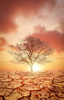 Resim kuraklığın, çatlamış toprağın ve mevsimsel yağmurun etkilerini gösteriyor. Küresel ısınma yüzünden. küresel ısınma kavramı
