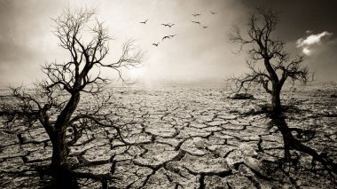 Resim kuraklığın, çatlamış toprağın ve mevsimsel yağmurun etkilerini gösteriyor. Küresel ısınma yüzünden. küresel ısınma kavramı