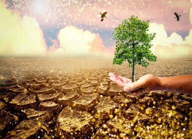 Resim kuraklığın, çatlamış toprağın ve mevsimsel yağmurun etkilerini gösteriyor. Küresel ısınma yüzünden. küresel ısınma kavramı