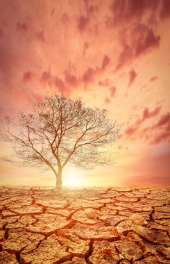 Resim kuraklığın, çatlamış toprağın ve mevsimsel yağmurun etkilerini gösteriyor. Küresel ısınma yüzünden. küresel ısınma kavramı