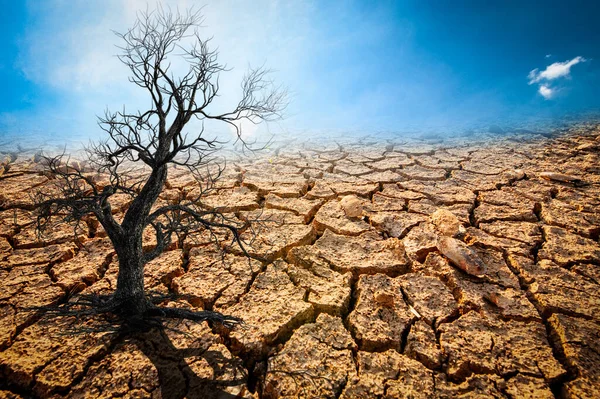 Immagine Mostra Effetto Della Siccità Del Suolo Incrinato Nessuna Pioggia — Foto Stock