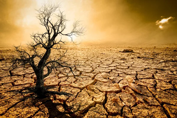 Малюнку Показано Ефект Посухи Тріщини Ґрунту Відсутності Сезонних Дощів Тому — стокове фото