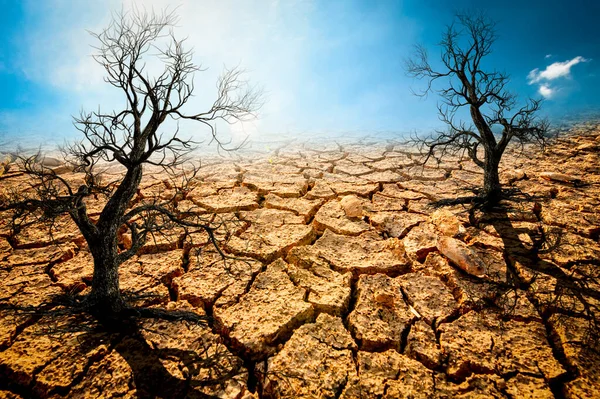 Das Bild Zeigt Die Auswirkungen Von Trockenheit Rissigem Boden Kein — Stockfoto