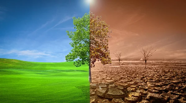 Picture Shows Effect Drought Cracked Soil Seasonal Rain Because Caused — Stock Photo, Image