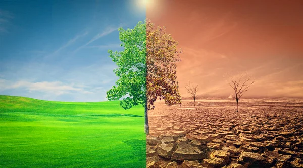 Picture Shows Effect Drought Cracked Soil Seasonal Rain Because Caused — Stock Photo, Image