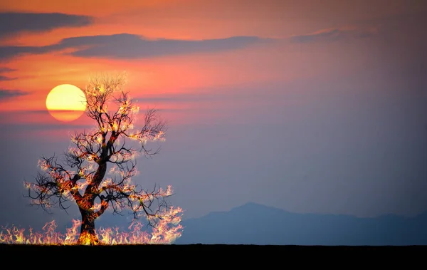 Das Bild Zeigt Die Auswirkungen Von Trockenheit Rissigem Boden Kein — Stockfoto