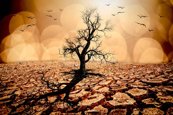 图为干旱 破碎的土壤 没有季节性降雨的影响 因为全球变暖 全球变暖概念 — 图库照片