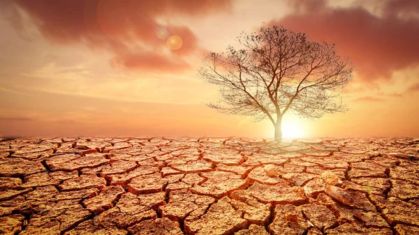 Obrázek Ukazuje Vliv Sucha Popraskané Půdy Žádný Sezónní Déšť Protože — Stock fotografie