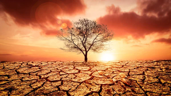 Obrázek Ukazuje Vliv Sucha Popraskané Půdy Žádný Sezónní Déšť Protože — Stock fotografie