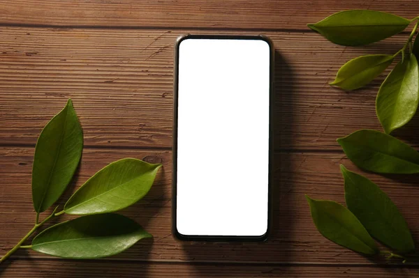 Teléfono Móvil Con Pantalla Blanco Copyspace Para Poner Contenido Proyecto — Foto de Stock
