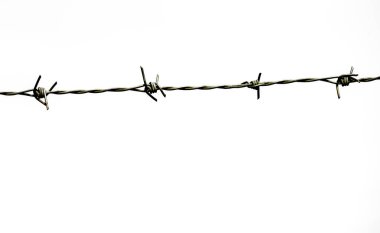 Dikenli tel beyaz arkaplanda izole edildi