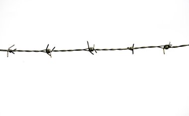Dikenli tel beyaz arkaplanda izole edildi