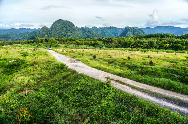 beautiful green landscape with mountains, outdoor shot