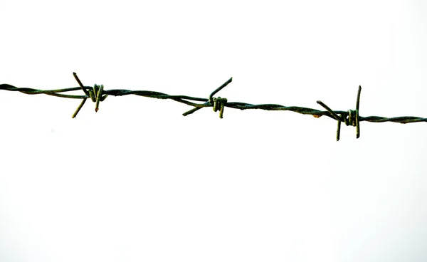 barbed wire isolated on white background