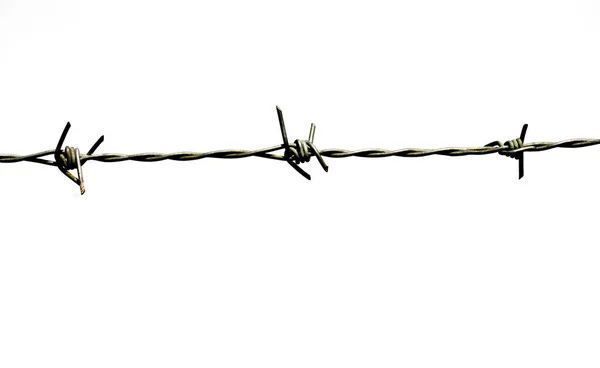 Barbed Wire Isolated White Background — Stock Photo, Image