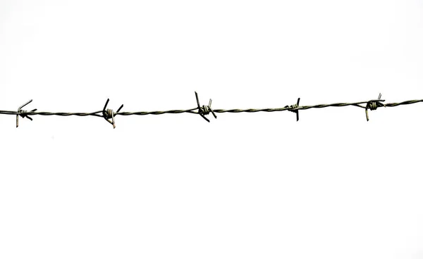 Barbed Wire Isolated White Background — Stock Photo, Image