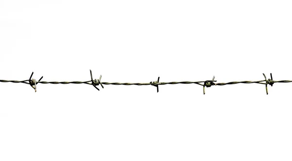 Barbed Wire Isolated White Background — Stock Photo, Image