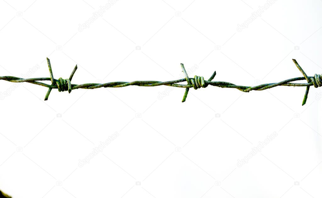 barbed wire isolated on white background